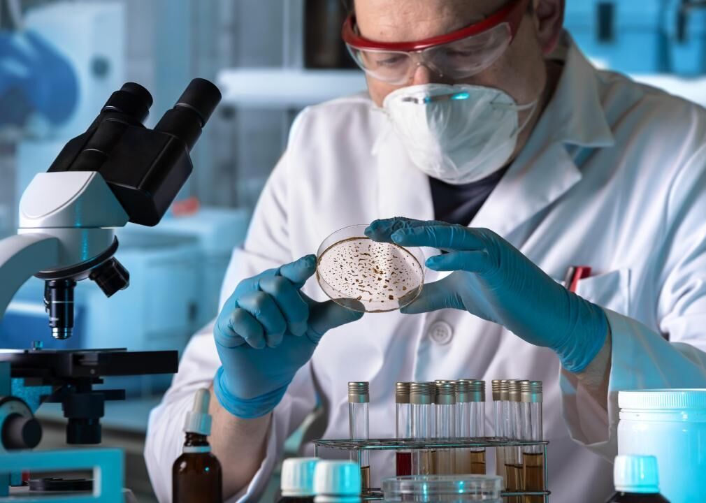 #62. Microbiologists